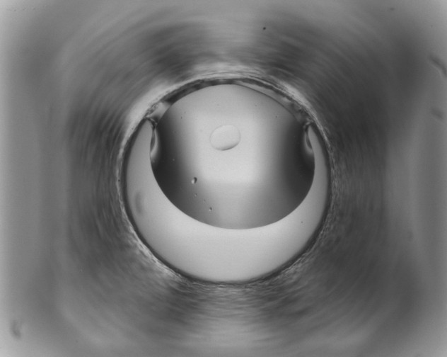 X0000099541472200806131138