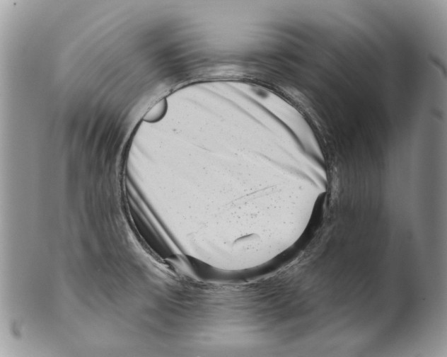 X0000099541475200806131138