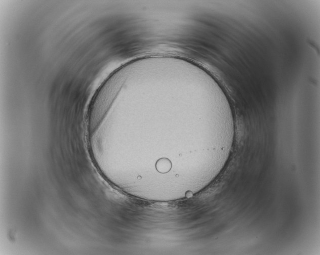 X0000099541478200806131138