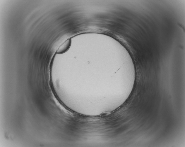 X0000099541479200806131138