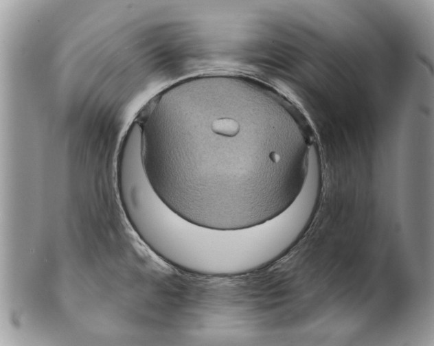 X0000099541480200806131138