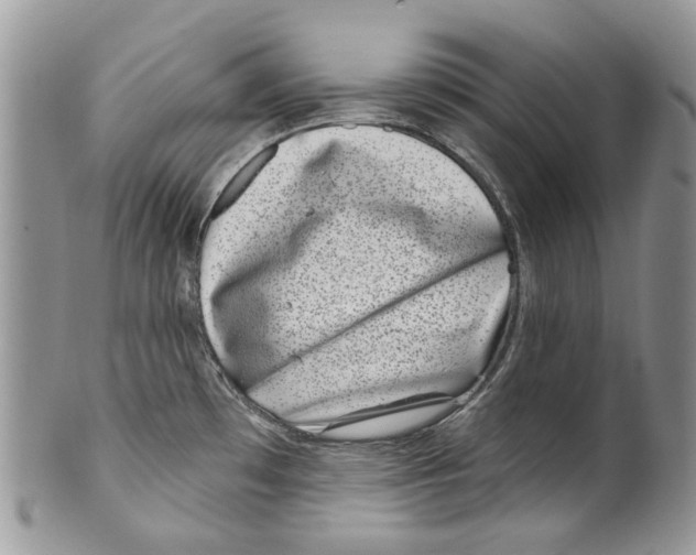 X0000099541481200806131138