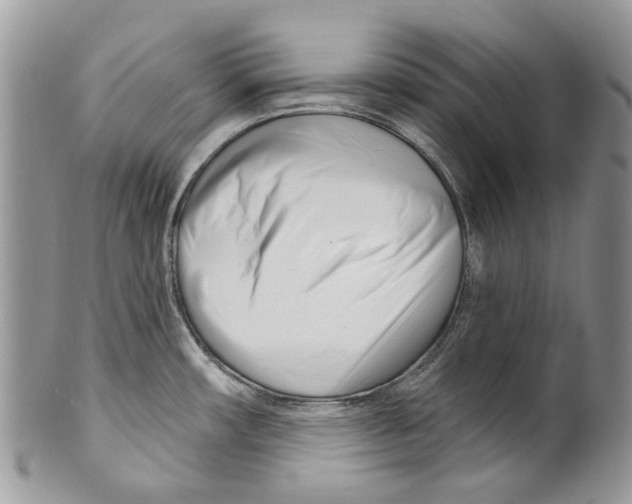 X0000099541482200806131138