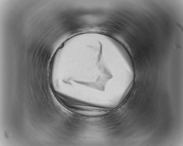 X0000099541483200806131138