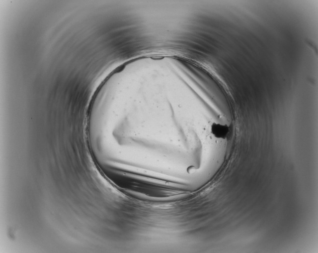 X0000099541484200806131138