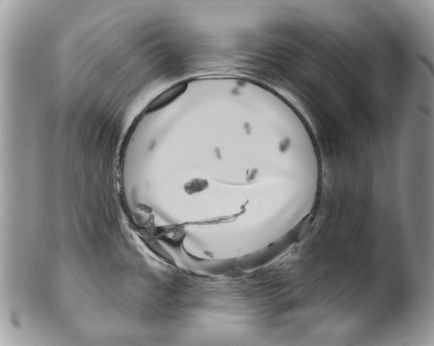 X0000099541485200806131138