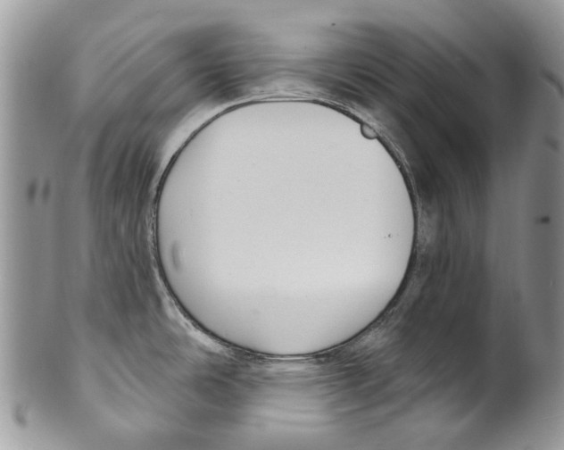 X0000099541486200806131138