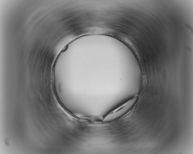 X0000099541487200806131138