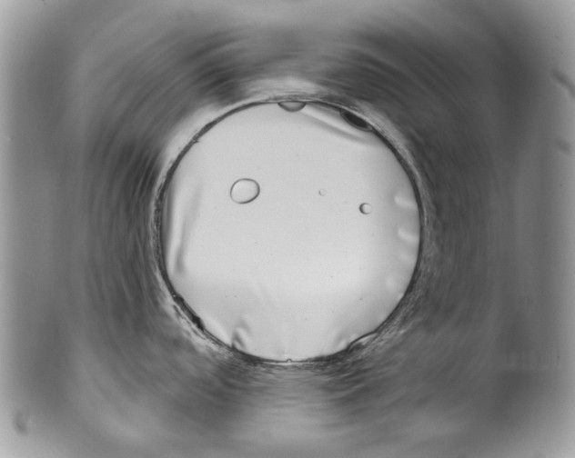 X0000099541488200806131138