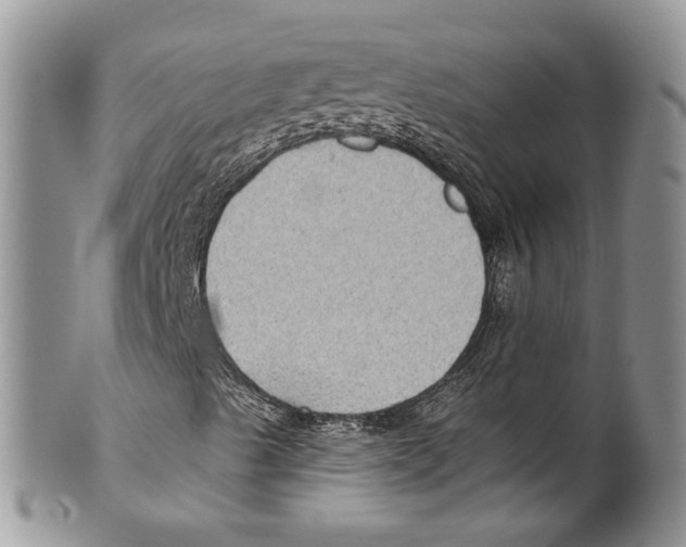 X0000099541489200806131137