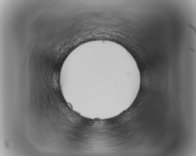 X0000099541490200806131137