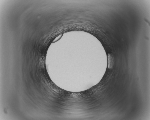 X0000099541491200806131137