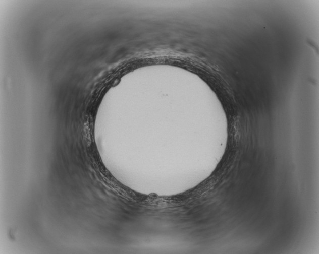 X0000099541493200806131137