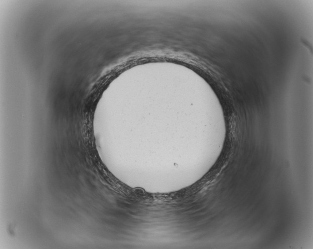 X0000099541494200806131137