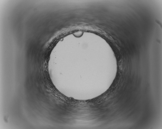 X0000099541495200806131137