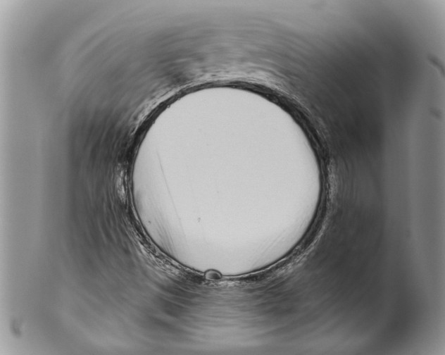 X0000099541497200806131137