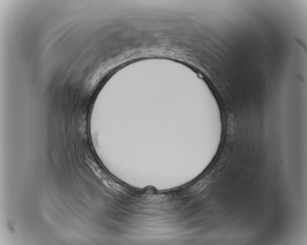 X0000099541499200806131137