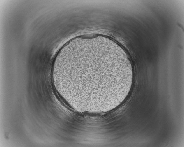 X0000099541500200806131137