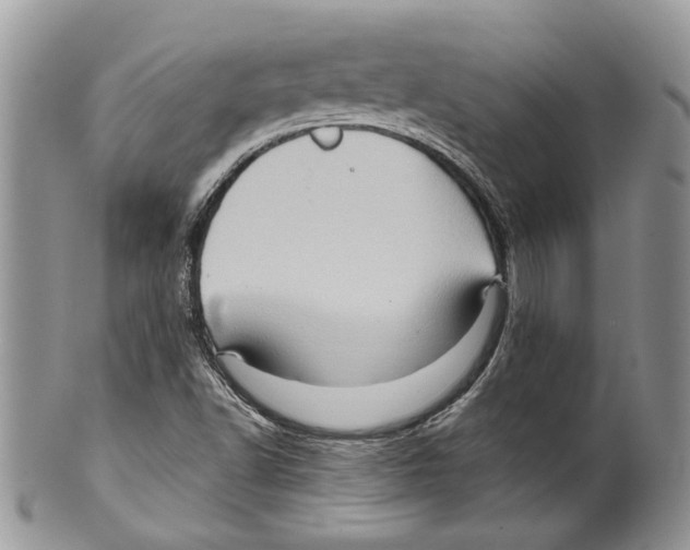 X0000099541502200806131137