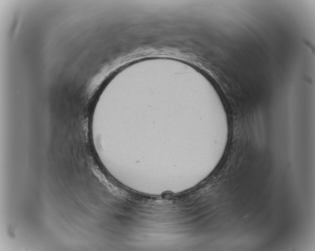 X0000099541503200806131137