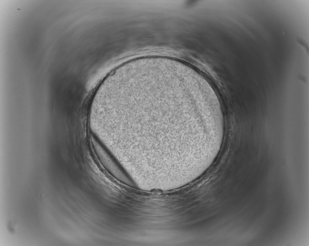 X0000099541504200806131138