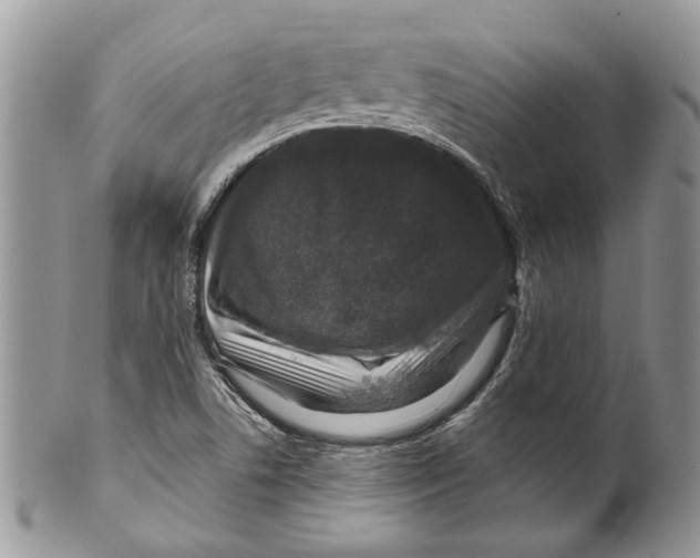 X0000099541506200806131138