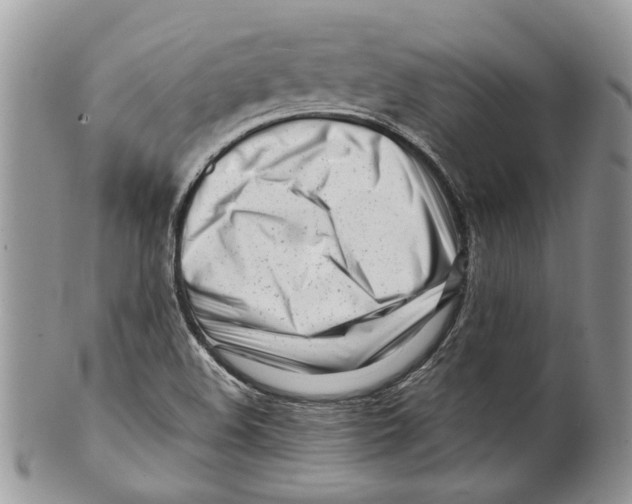 X0000099541508200806131138