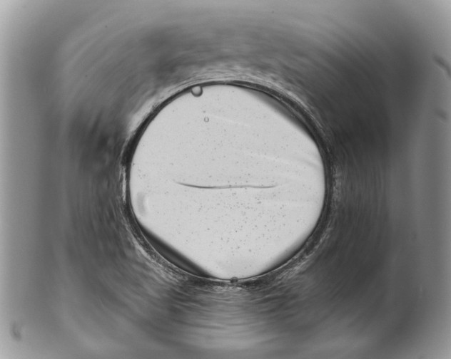 X0000099541509200806131138