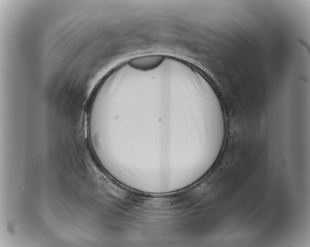 X0000099541510200806131138