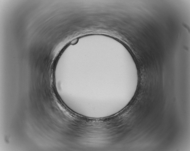 X0000099541511200806131138