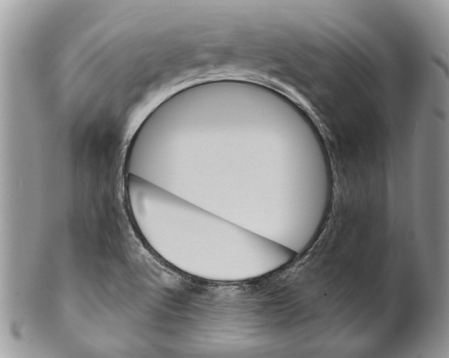 X0000099541512200806131138