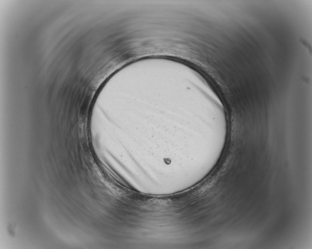 X0000099541513200806131138