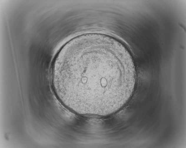 X0000099541514200806131138