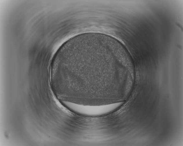 X0000099541515200806131138