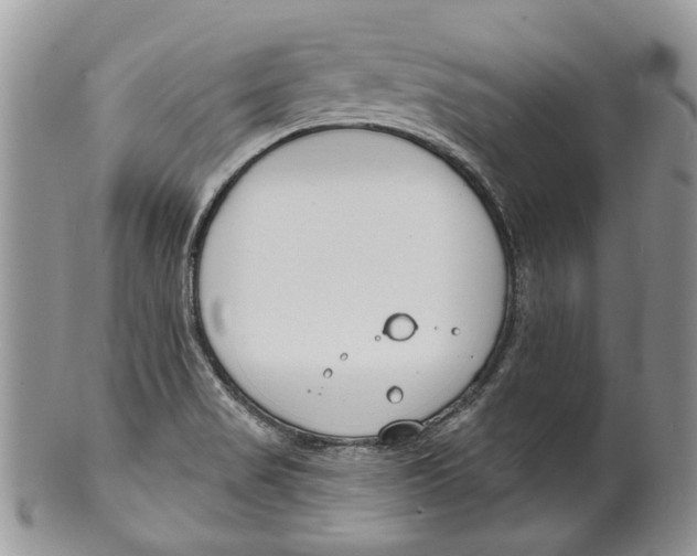 X0000099541517200806131138