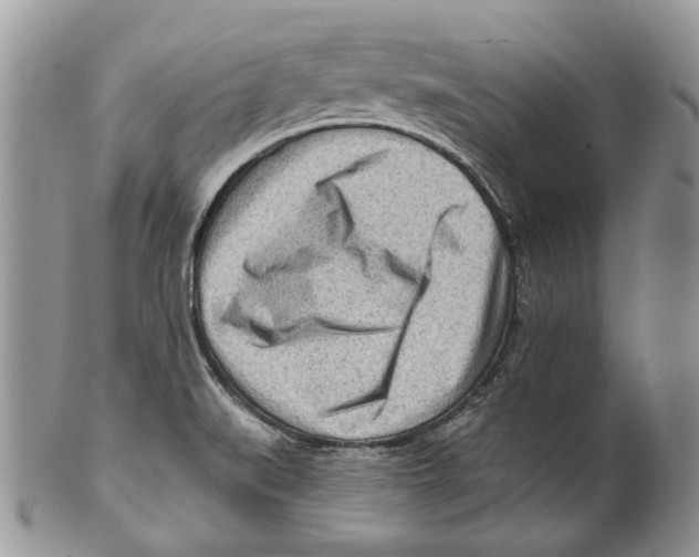 X0000099541519200806131138