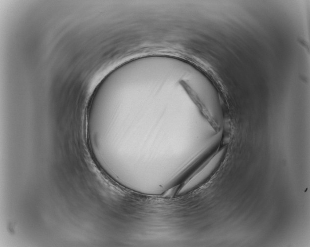 X0000099541520200806131138