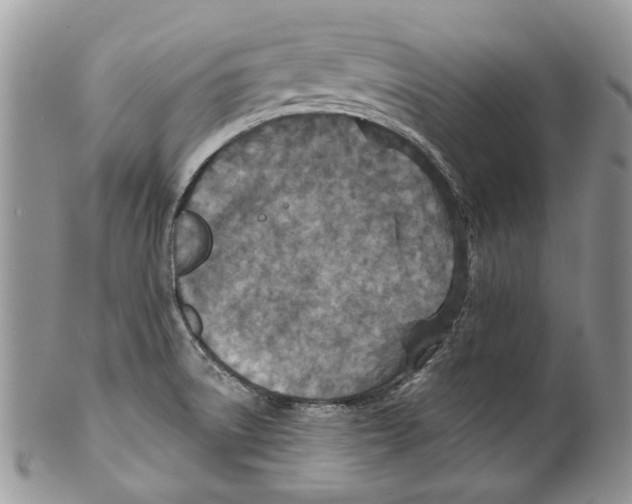 X0000099541522200806131138