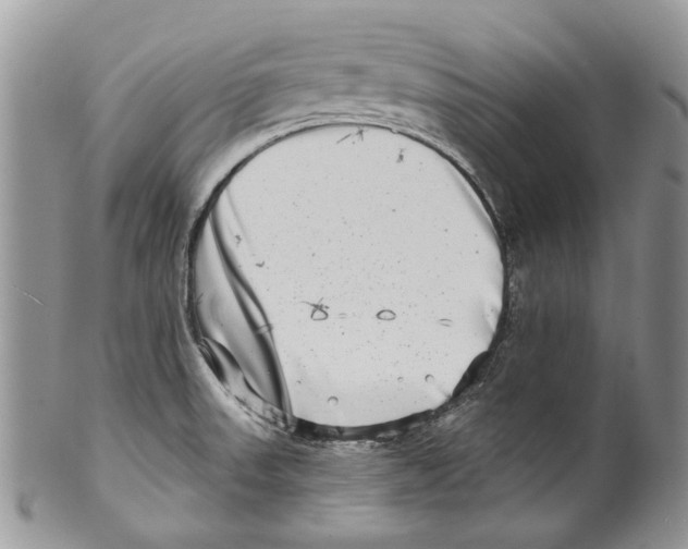 X0000099541523200806131138