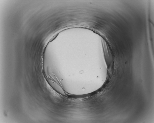 X0000099541524200806131138