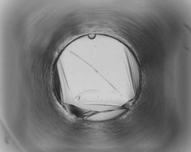 X0000099541525200806131138