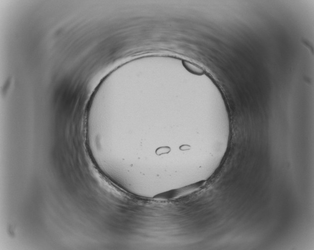 X0000099541526200806131138