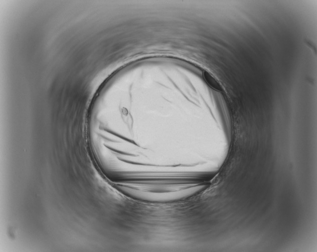 X0000099541527200806131138