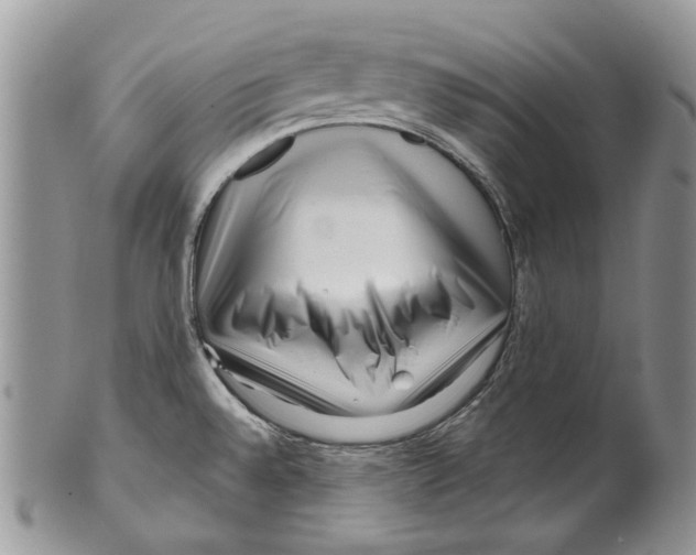 X0000099541528200806131138