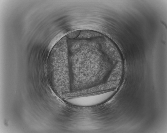 X0000099541529200806131138