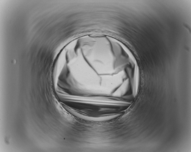 X0000099541530200806131138