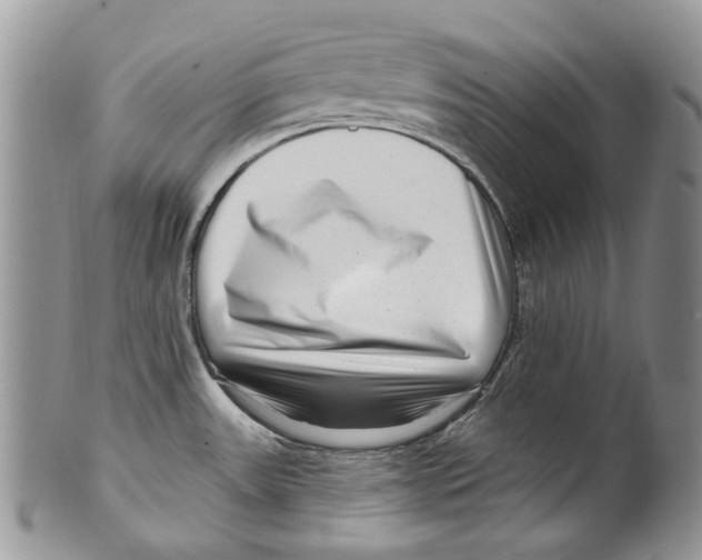 X0000099541531200806131138