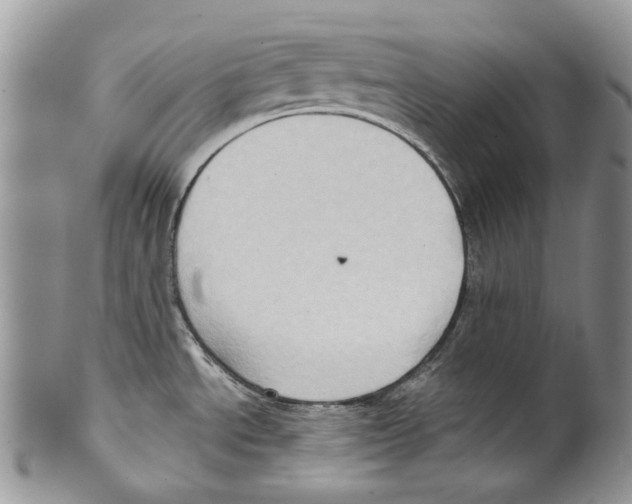 X0000099541534200806131138