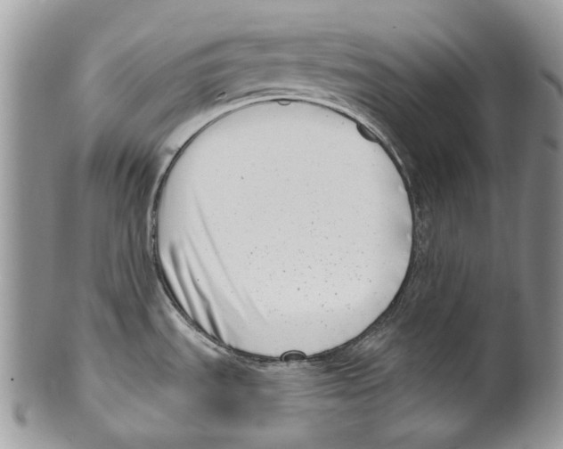 X0000099541535200806131138