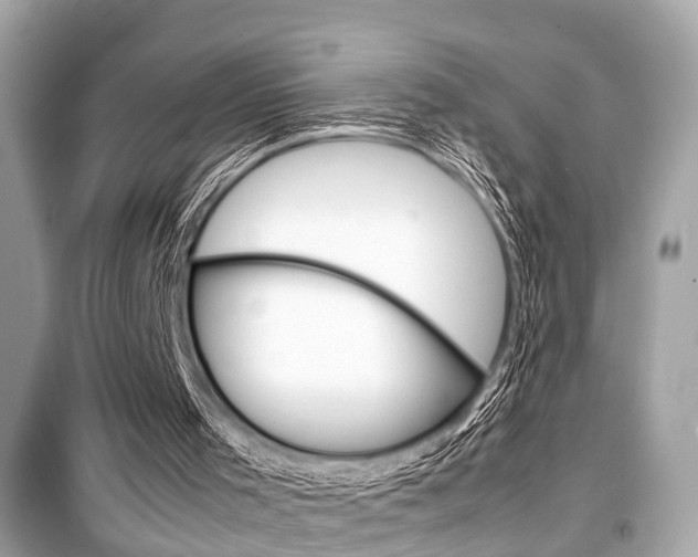 X0000099550001200805160737